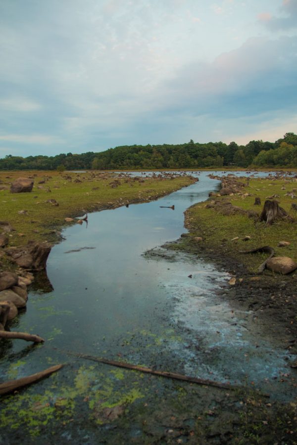 A photo of the reservoir. Photo taken by George Malouf 