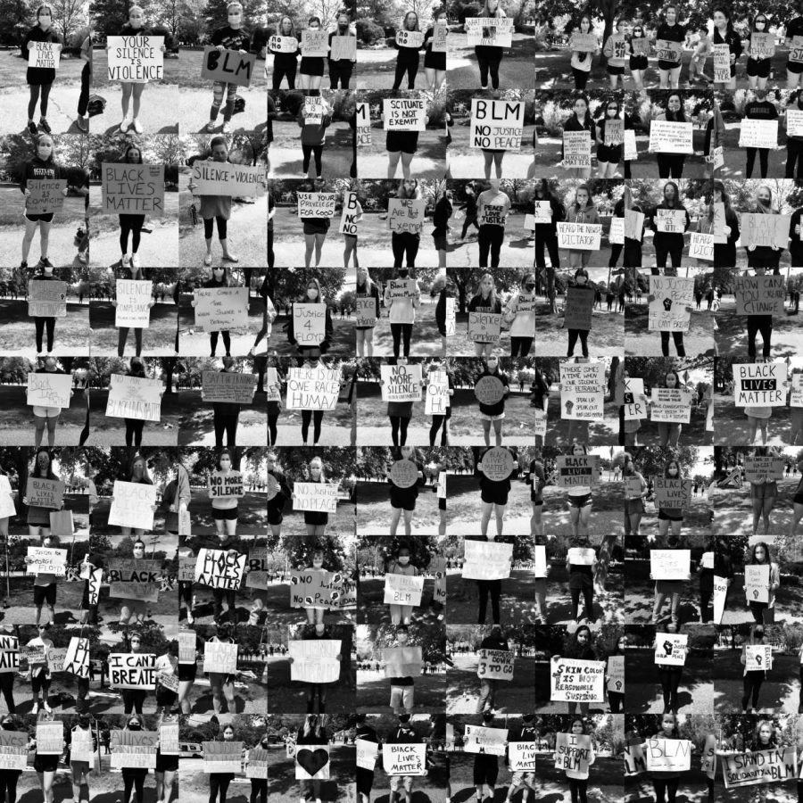 Collage+of+students+who+attended+protests+in+Scituate