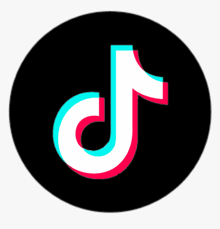 The Rise (and Potential Fall) of TikTok