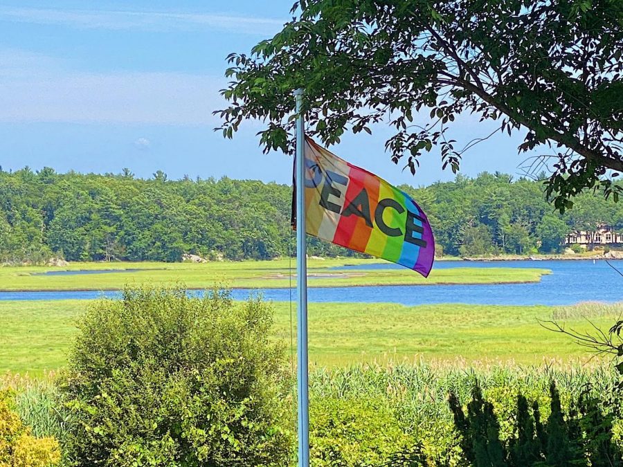 A Look Into the Rainbow Peace Flag Project