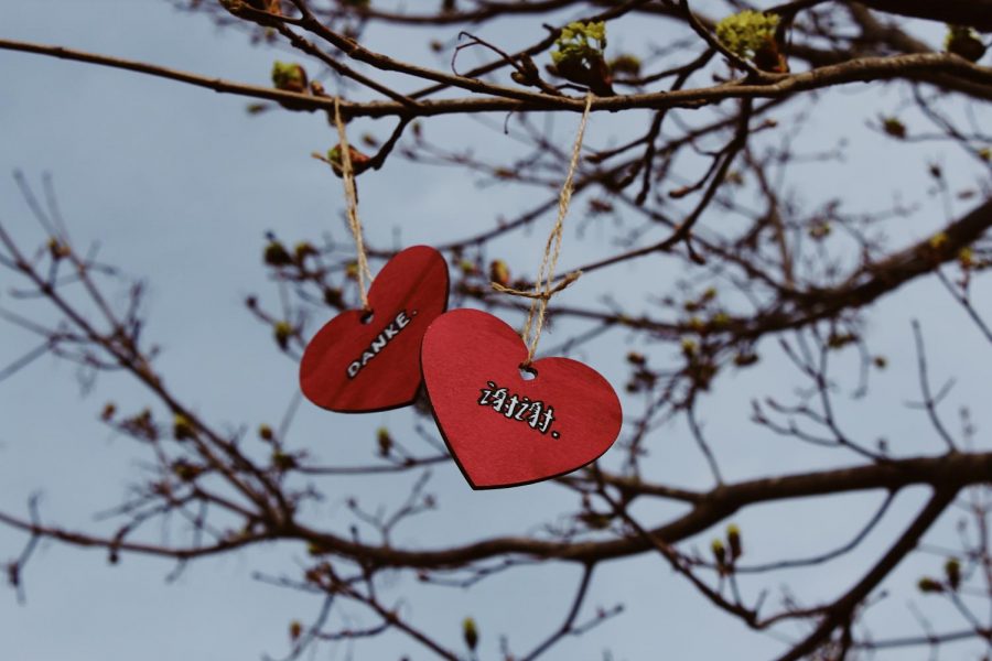 Scituate High School senior Julianna Saccone painted hearts that read “thank you” in 20 different languages