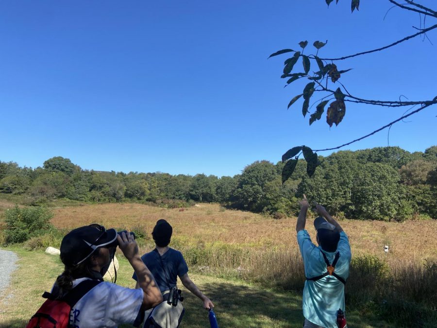 Ornithology students visited Plymouth on Thursday, Oct. 7th