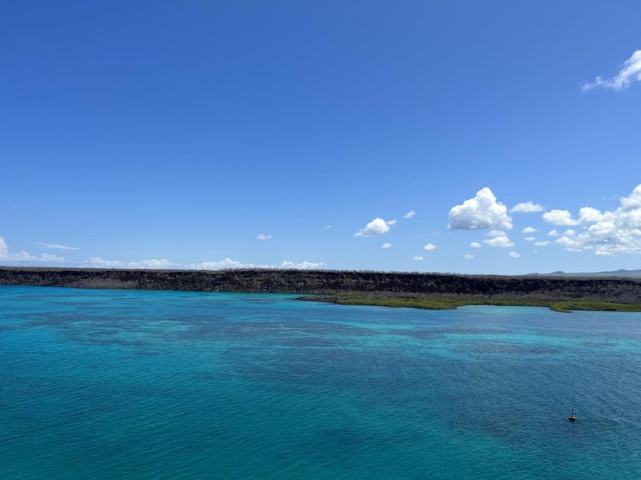 A group of SHS students traveled to the picturesque Galapagos Islands in February