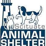 Scituate Animal Shelter Plays a Vital Role in the Community