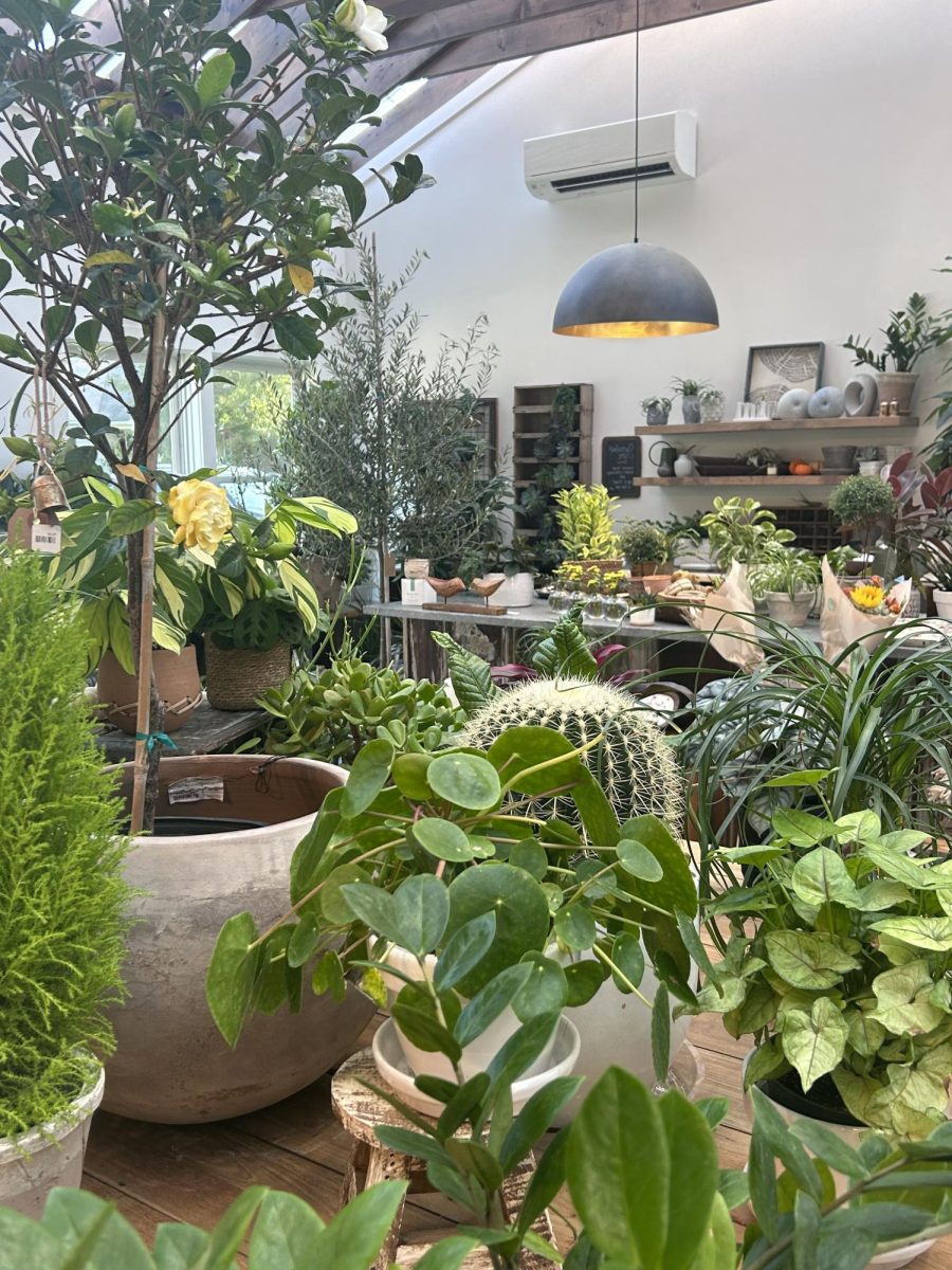 Customers of The Root are greeted with this colorful array of plants and flowers