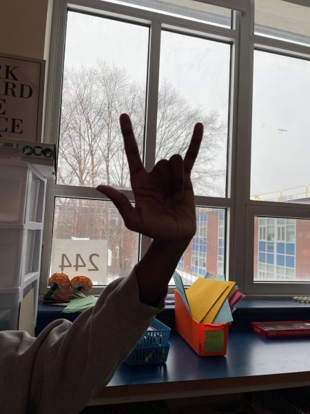 Should Scituate Offer American Sign Language?
