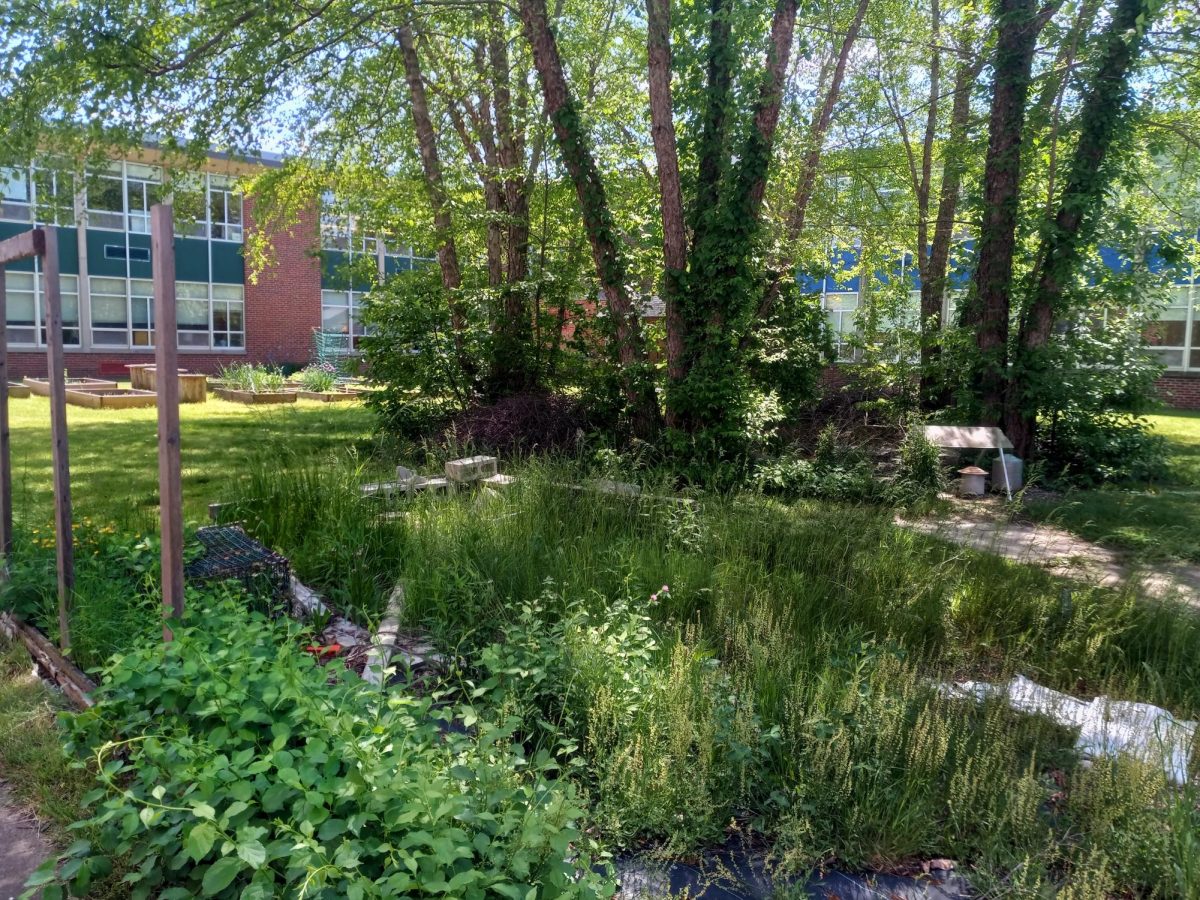 The courtyards at SHS are enjoyed by students throughout the school day.
