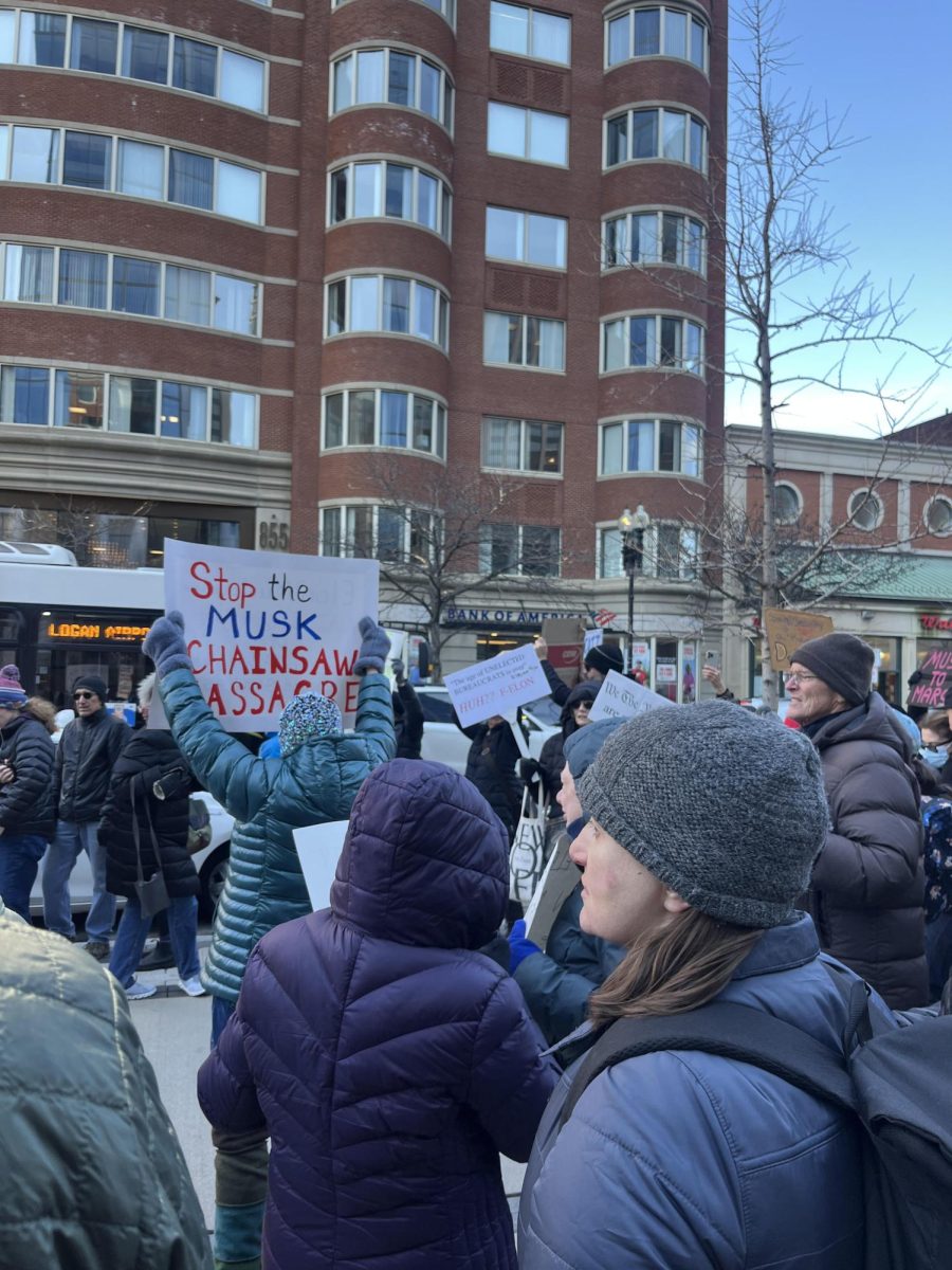 Political rallies have taken place around the country, including in Boston 