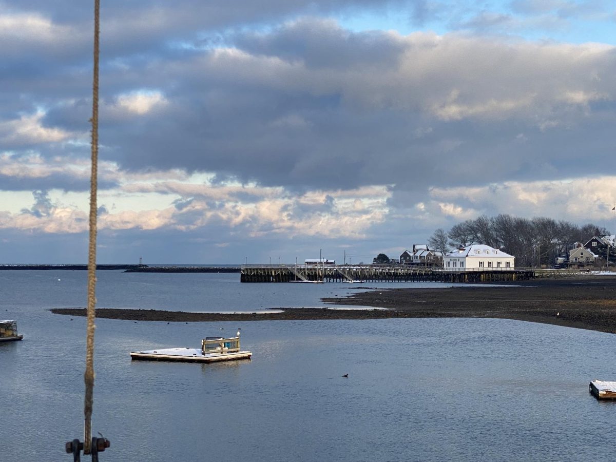 One of the many marine protected areas is located in Scituate Harbor